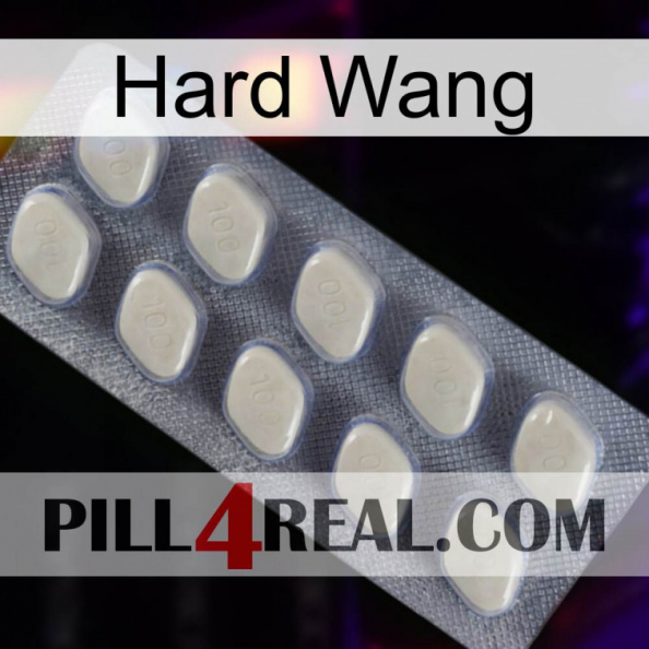 Hard Wang 08.jpg